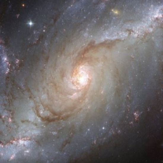 Activating the Interdimensional Vortex of Conspiracy Tastemaking